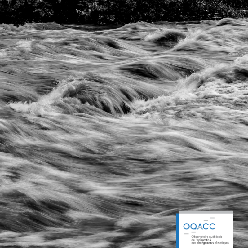 Portrait du niveau d’adaptation québécoise aux changements climatiques des citoyennes et citoyens du Québec