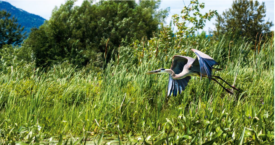 Urgence climatique: prendre un grand virage