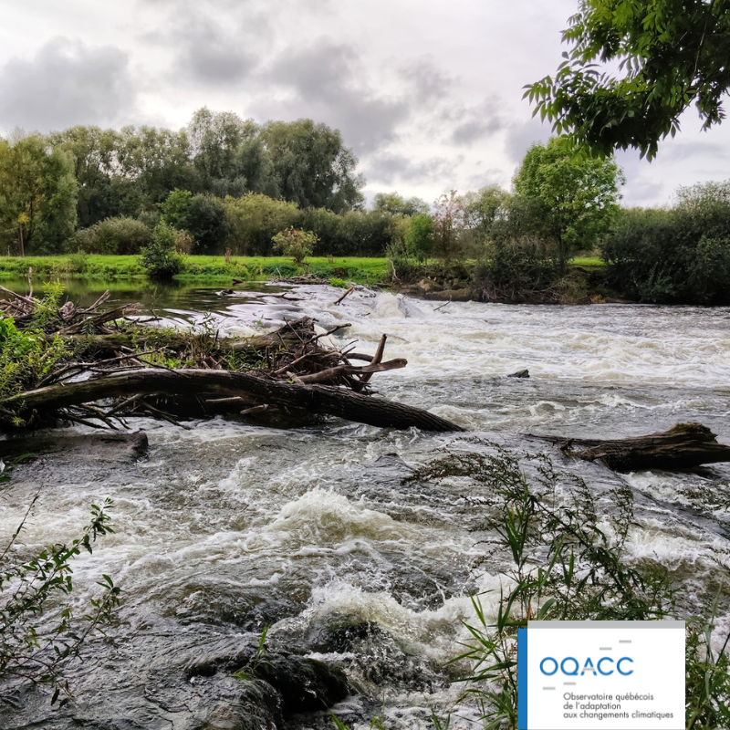 L’OQACC publie un nouvel article sur l’adaptation face aux inondations au Québec dans le Journal of Flood Risk Management